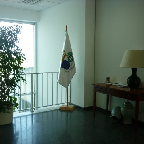 P1060311